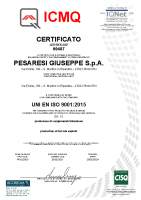 Certificato ISO 9001 Prod. CGB ICMQ 2021-2024 n. 00487