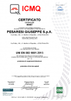 Certificato ISO 9001 Prod. CGB ICMQ 2024-2027 n. 00487